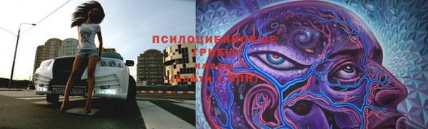 эйфоретик Алексин