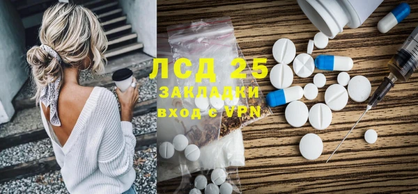 прущие грибы Алзамай