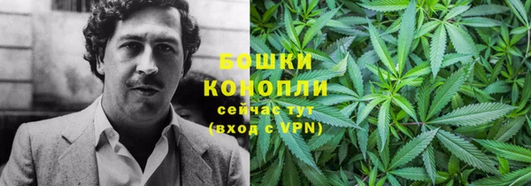 прущие грибы Алзамай