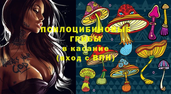 прущие грибы Алзамай